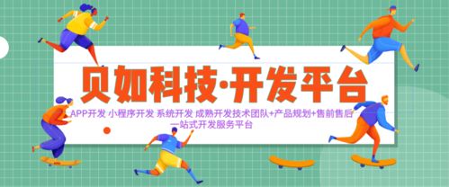 如何選擇一家定制開發(fā)的公司