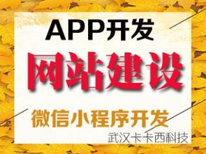 圖 武漢小程序定制的公司有哪些 武漢網站建設推廣