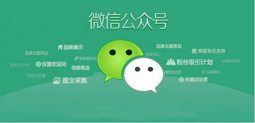 深圳微信小程序定制開發(fā)簡介