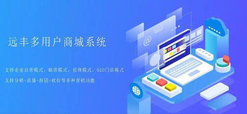 開發(fā)定制商城比較好的公司