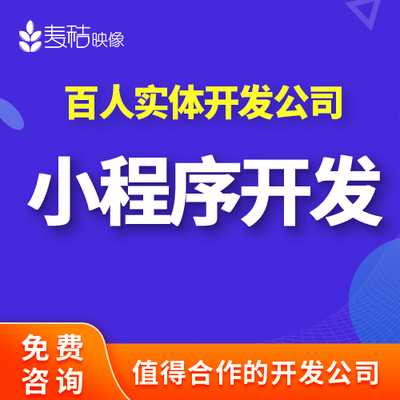 麥秸映像IT開發(fā)-微信/小程序/app的服務
