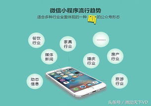 石家莊開發(fā)定制微信小程序哪家專業(yè)